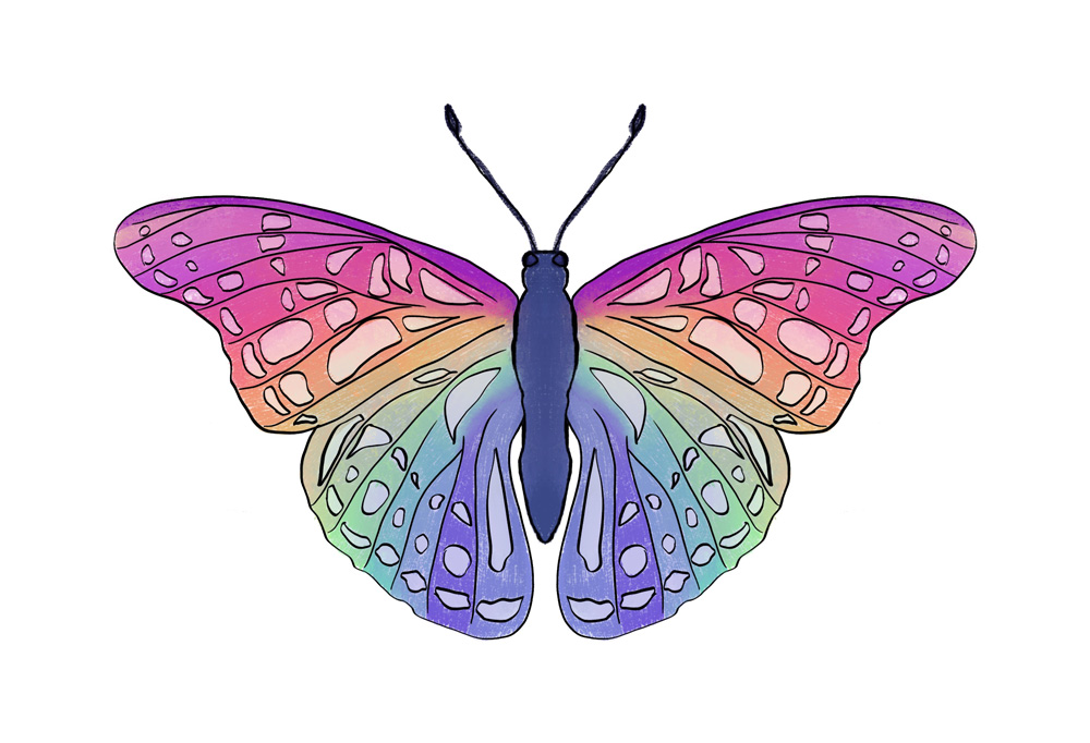 Colorful butterfly drawing.